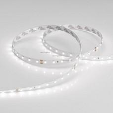 Лента светодиодная [5 м] Arlight RT 2-5000 24V White6000 (2835, 80 LED/m, LUX) 024509(1)